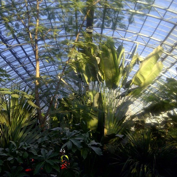 Verrieres_Grande_Serre