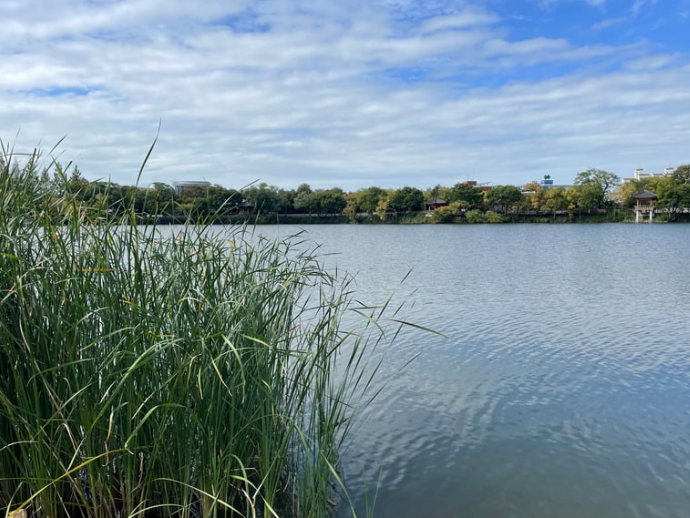 site IBM – Combleux