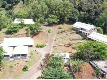 Image3