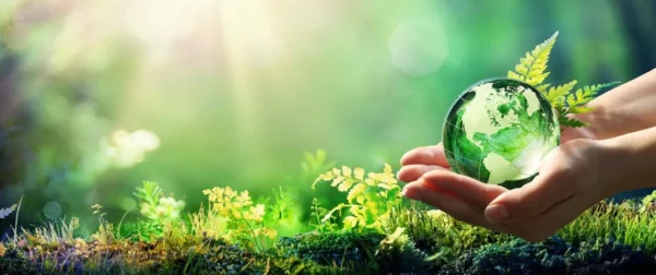 Transition Ecologique