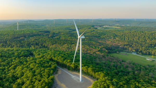 The Green Transition Hits Reality