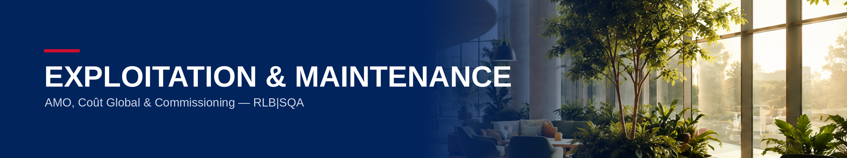 AMO Exploitation & Maintenance — RLB|SQA